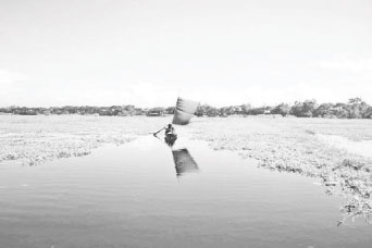 সমন্বিত উদ্যোগ দরকার